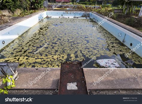 Damaged Old Swimming Pool Dirty Water Stock Photo 517960186 Shutterstock