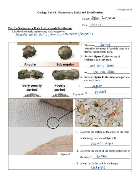 Solution Geology 104 Lab 4 Sedimentary Rocks Studypool