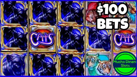 100 Bets Cats Slot 🟢 High Limit 🟢free Games 🟢 Huge Jackpots Youtube