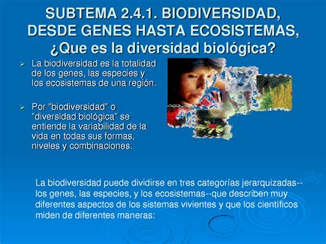Desarrollo Sustentable Biodiversisdad De Genes Hasta Ecosistemas