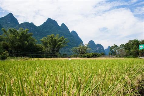 Landscape Of Guilin Li River And Karst Mountains Located In Yangshuo