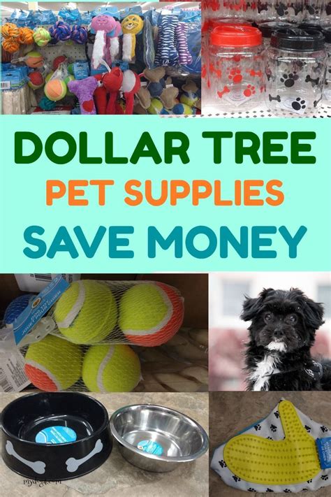 If you are looking for the dog food from any imported brand like monello, royal canin, and pedigree, etc. DOLLAR TREE PET SUPPLIES - A SNORKEY DAY #Day #DOLLAR #Pet ...