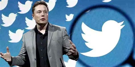 Elon Musk Runs Twitter Poll Asks Users To Decide His Fate As Ceo