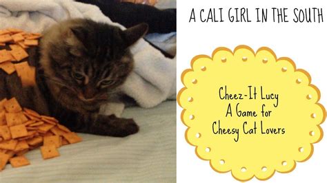 Cheez It Lucy A Game For Cheesy Cat Lovers Youtube