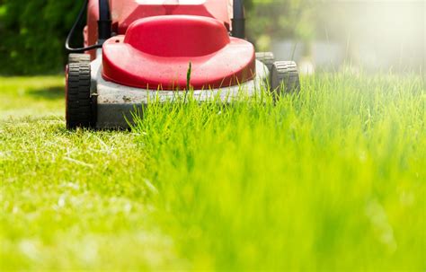 Mow Like A Pro With These Lawn Tips