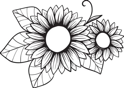 Sunflower Line Art Sunflower Flower Vector Drawing Set Hand Drawn