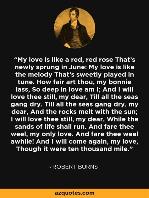 Robert Burns Quote My Love Is Like A Red Red Rose Thats Newly