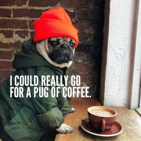 I Love Coffee Puns And Cute Dog Memes How About You ☕️ 💄