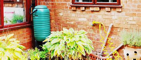 Installing a rainwater harvesting system. Rainwater Harvesting | LeafFilter