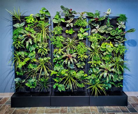 Modular Living Wall Units Offer A Green Experience Plants On Walls