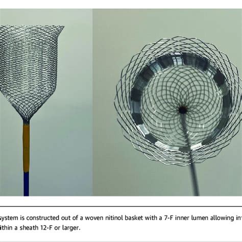 Step By Step Excision And Removal Of A Right Atrial Mass Using