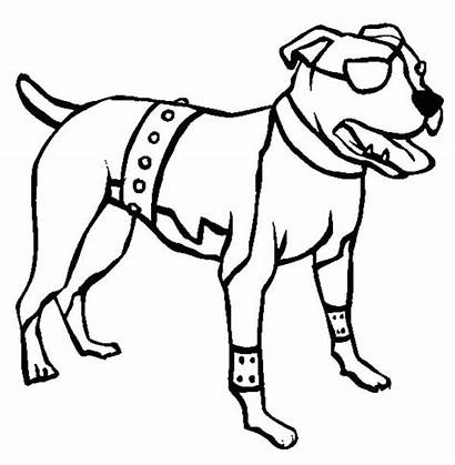 Pitbull Coloring Dog Boxer Terrier Pages American
