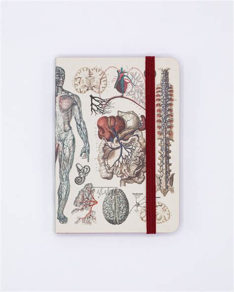Anatomy And Physiology Observation Mini Softcover Notebook Cognitive
