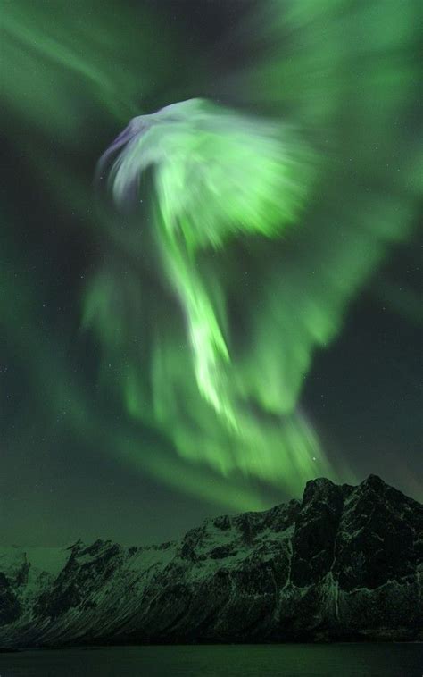 Aurora Phoenix Photo And Caption By Bjørn Jørgensen An Outburst Of