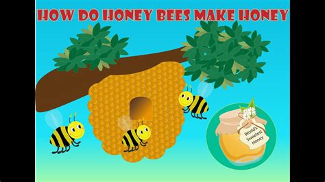 How Do Bees Make Honey Best Learning Videos For Kids Youtube