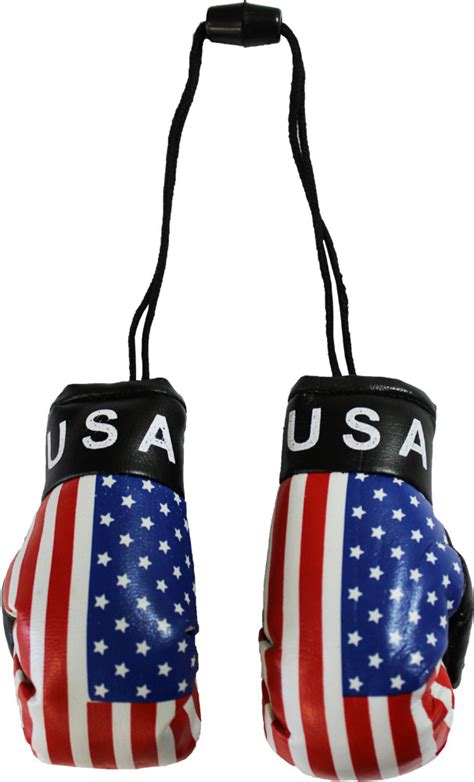 Buy Usa Mini Boxing Gloves Flagline