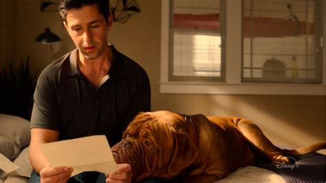 Turner And Hooch Episode 11 Release Date And Preview
