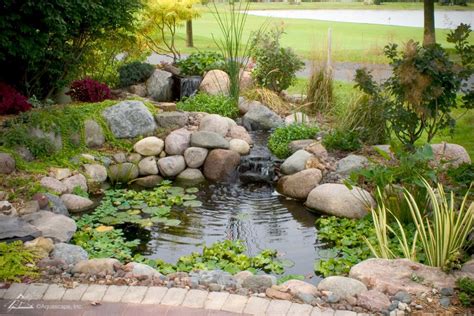 Along small ponds, swimming pools, water fountains, waterfalls and lush vegetation, the small backyard aquariums can really put the cherry on the cake in a glance. Garden Pond Guide - Aquatics World