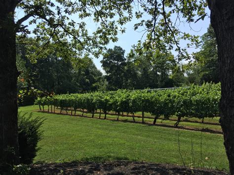 11 Northern Virginia Wineries To Visit In 2022 Virginia Vacation Guide