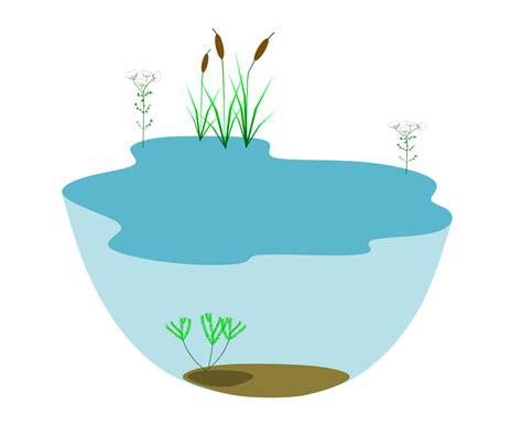 Lake Ecosystem Ecosystems Water Free Vector Graphic On Pixabay