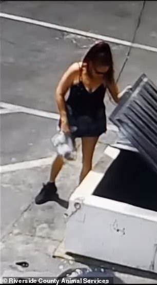 Sickening Moment Woman Is Caught On Surveillance Footage Dumping Seven