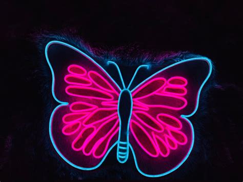 Butterfly Neon Light Butterfly Neon Sign Butterfly Neon Neon Sign