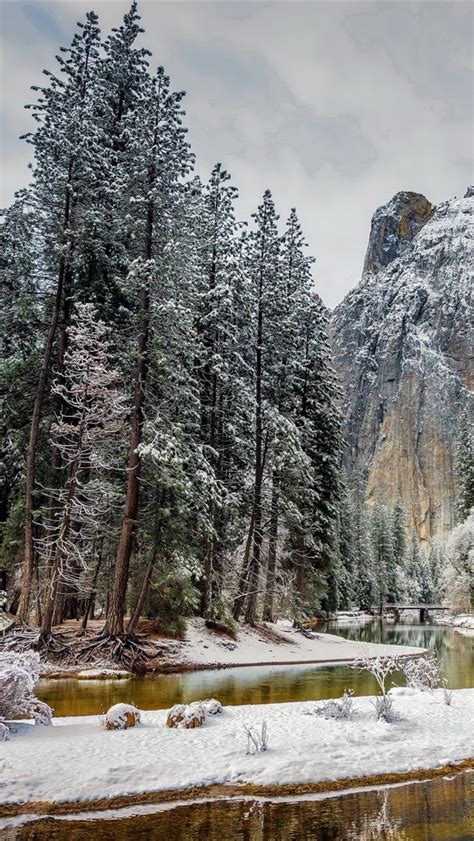 배경 화면 미국 캘리포니아 요세미티 국립 공원 산 나무 눈 겨울 강 2560x1600 Hd 그림 이미지