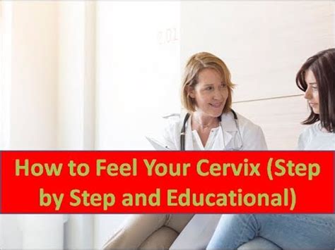 How To Feel Your Cervix Step By Step Educational Health Care YouTube