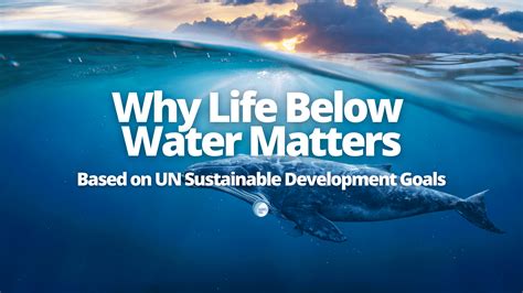 Why Life Below Water Matters Barrel Bag