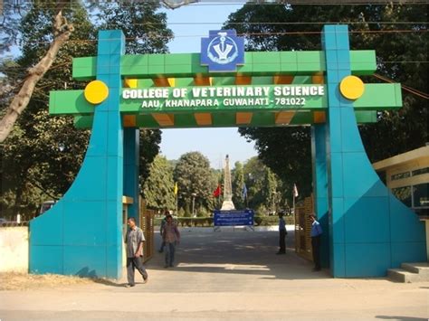 College Of Veterinary Science