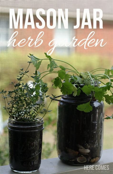 10 Minute Mason Jar Herb Garden