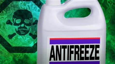 Woman Admits Trying To Poison Grandmother With Antifreeze