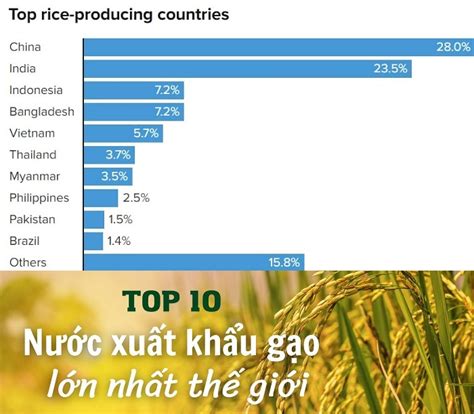 Top 10 Nước Xuất Khẩu Gạo Lớn Nhất Thế Giới Hiện Nay