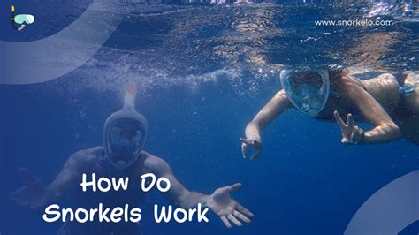 How Do Snorkels Work Comprehensive Guide 2023 Snorkelo