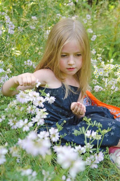 Portrait Of A Little Girl In A Summer Meadow Stock Image Image Of