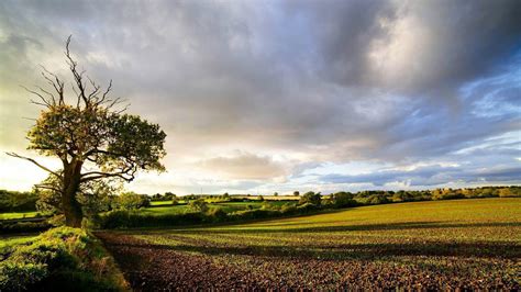 English Countryside Wallpapers Wallpaper Cave