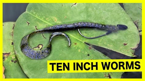 Tips For How To Fish A Ten Inch Soft Plastic Worm Youtube