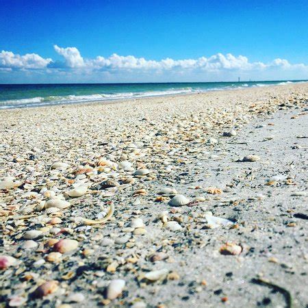 Egmont Key State Park Florida United States Top Tips Before You Go With Photos Tripadvisor