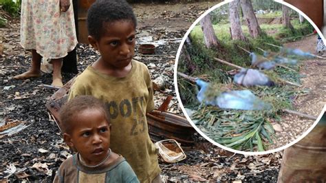 Inter Tribal Warfare Likely Behind Papua New Guinea Massacre 7news