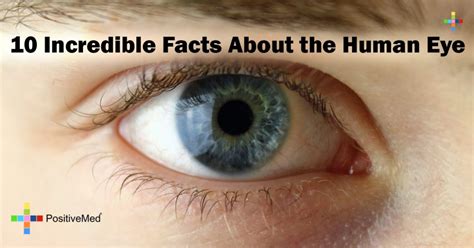 10 Incredible Facts About The Human Eye