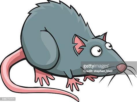 Rats Cartoon Photos And Premium High Res Pictures Getty Images