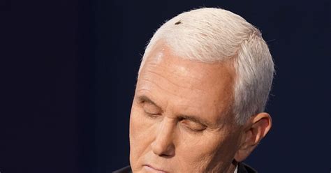 what s the buzz about at the debate the fly on pence s head