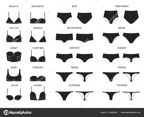 Types Of Womens Panties And Bras Set Of Underwear ⬇ Vector Image By