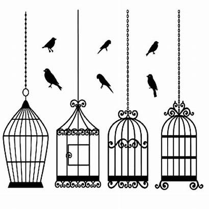 Cage Bird Coloring Pages Special