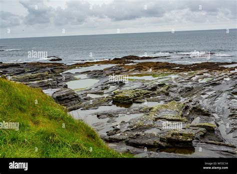 Irish Limestone Landscape On The Coast In The Coastal Walk Route From