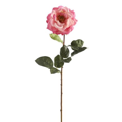 Now draw a line from the top of each side of the small, bottom, 'u' shape and curve each line up to the top corresponding bigger 'u' shape corner. Ashland™ Garden Bloom Orlane Rose Stem