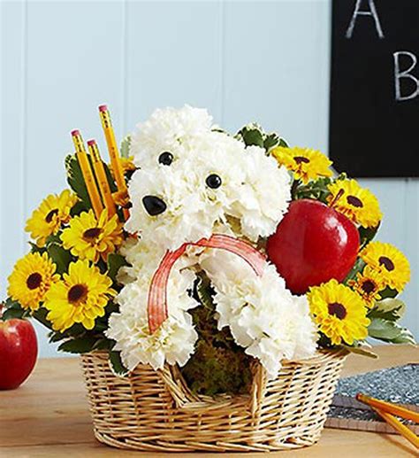 17 Beautiful Flower Arrangements For Dog Lovers