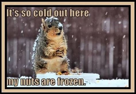Its So Cold Winter Snow Cold Funny Quotes Winter Quotes Winter Humor