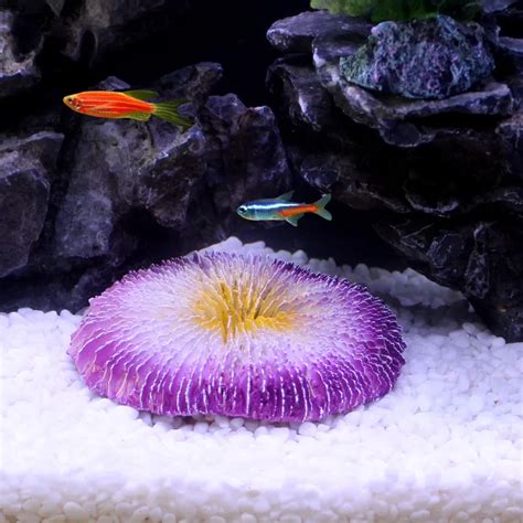 New Resin Artificial Round Coral Aquarium Decoration Stone Fish Tank