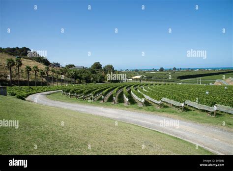 Esk Valley Wine Estate Bay View Napier New Zealand The Hawkes Bay